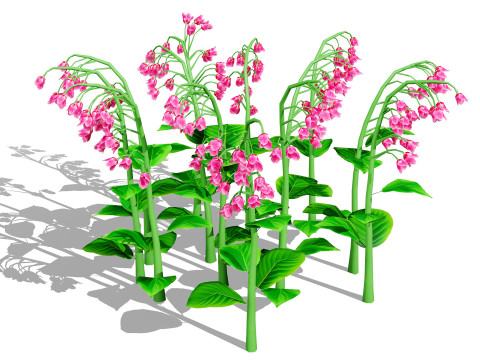 Australian Bluebell Flowers 3D Модель