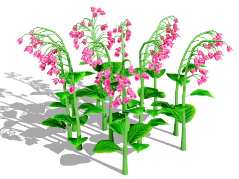 Australian Bluebell Flowers 3D Model
