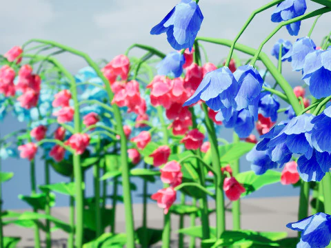 Australian Bluebell Flowers 3D Model