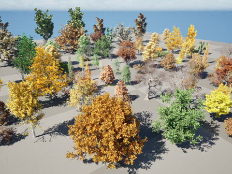 Fall Trees Collections 3D Модель