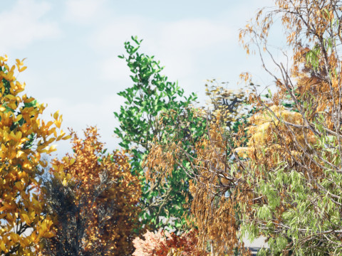 Fall Trees Collections Model 3D