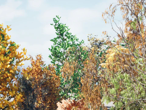 Fall Trees Collections 3D Model