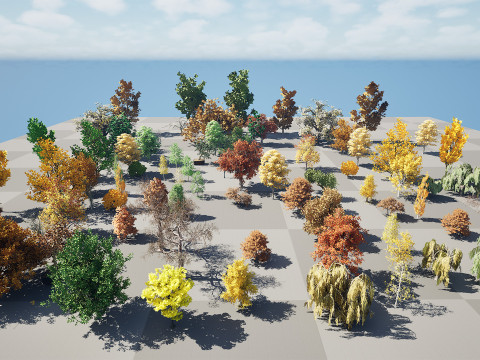 Fall Trees Collections Model 3D