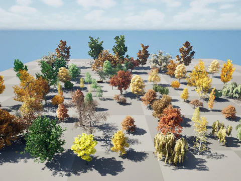 Fall Trees Collections 3D Model