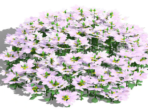 Autralian Purple Fanfare Flower 3D Model