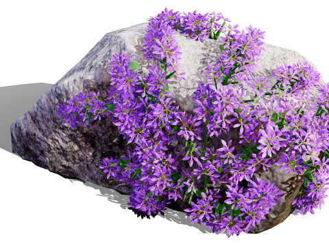 Autralian Purple Fanfare Flower 3D Модель