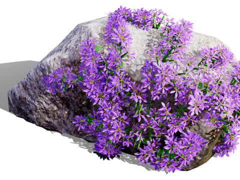 Autralian Purple Fanfare Flower 3D Model