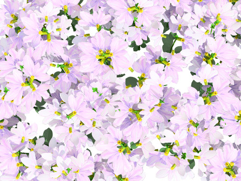 Autralian Purple Fanfare Flower 3D Модель