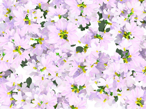 Autralian Purple Fanfare Flower 3D Model