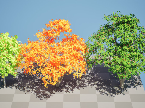 Flemish European Mountain Ash Fruit Tree 3D 模型