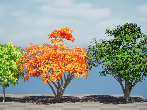 Flemish European Mountain Ash Fruit Tree 3D Model