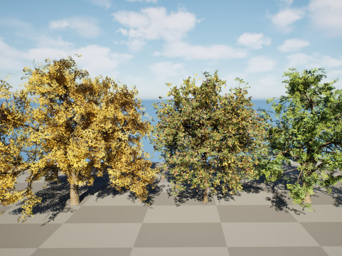 Flander Sycamore Pack 3D मॉडल