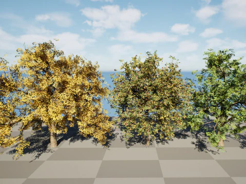 Flander Sycamore Pack 3D Model