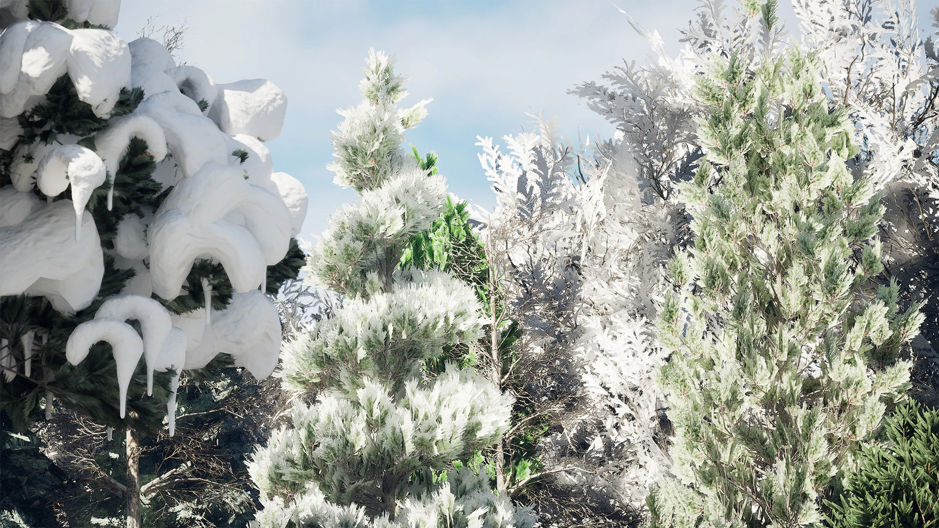 Sammlung schneebedeckter B&auml;ume 3D Modell .c4d .max .obj .3ds .fbx .stl .blend 