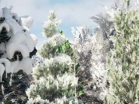 Snow-covered Trees Collection 3D Модель