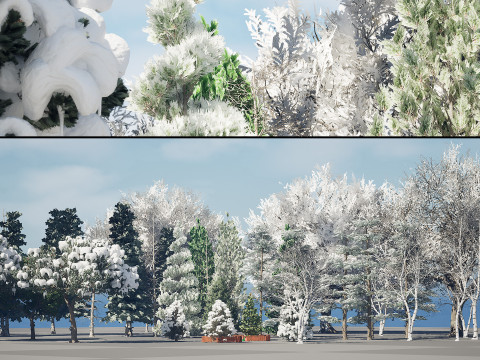 Snow-covered Trees Collection Model 3D