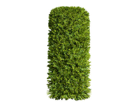 Flanders Bay Trees 3D Model