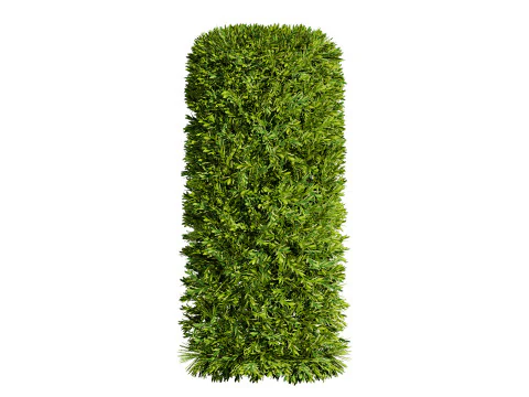 Alberi di alloro delle Fiandre Modello 3D