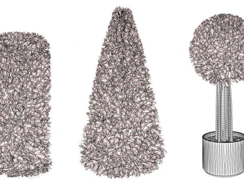 Alberi di alloro delle Fiandre Modello 3D