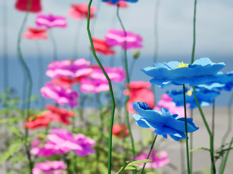 Roślina kwitnąca maku Flandrii Model 3D