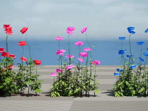 Roślina kwitnąca maku Flandrii Model 3D