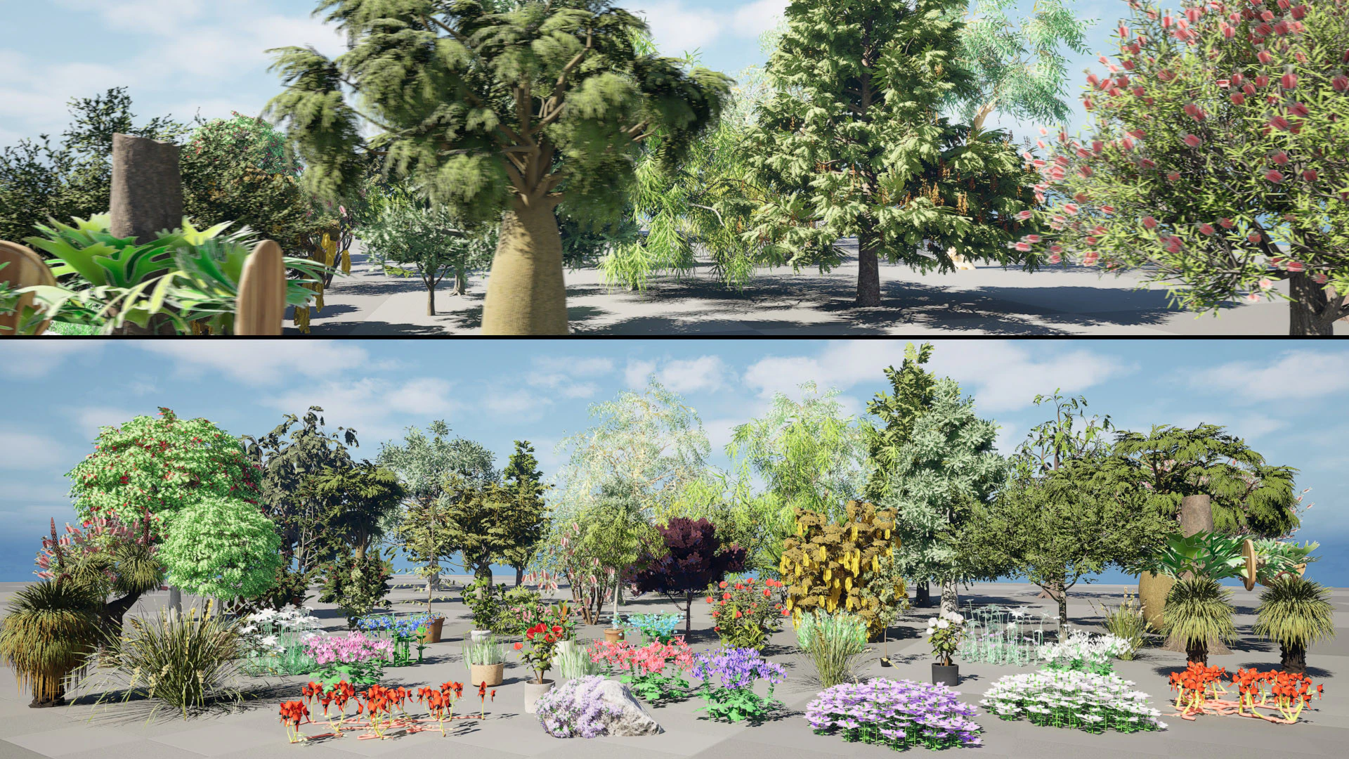 Australian Plant Collection Trees Flowers 3D Model .c4d .max .obj .3ds .fbx .stl .blend 