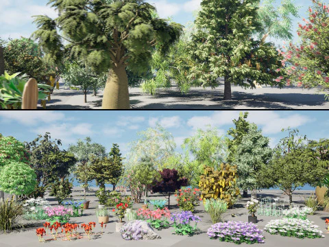 Collection de plantes australiennes Arbres Fleurs Modèle 3D