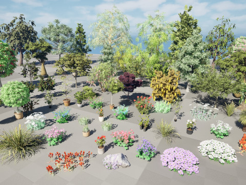 Australian Plant Collection Trees Flowers 3D Model