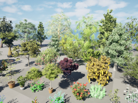 Australian Plant Collection Trees Flowers 3D Model