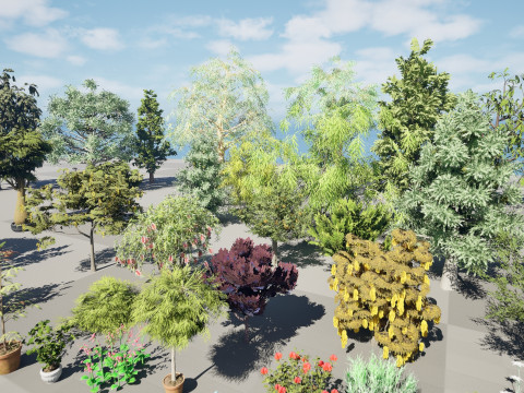 Australian Plant Collection Trees Flowers 3D Model