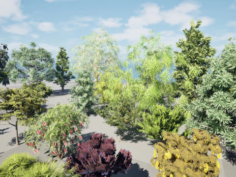 Australian Plant Collection Trees Flowers 3D Model