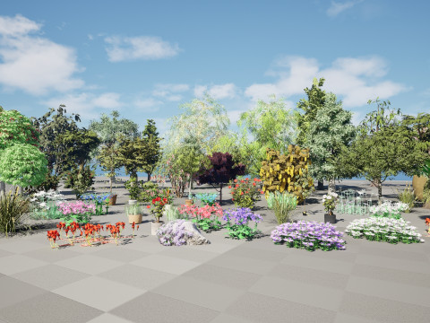 Australian Plant Collection Trees Flowers 3D Model