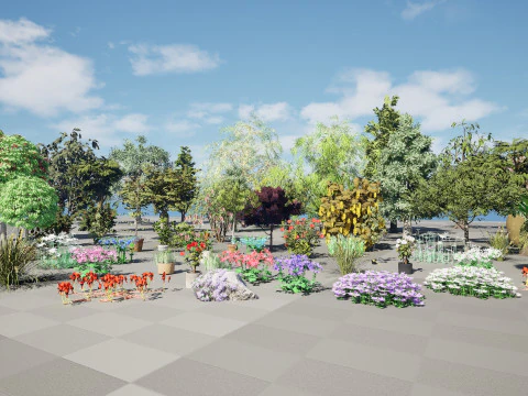 Australian Plant Collection Trees Flowers 3D Model