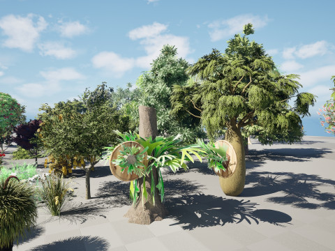 Australian Plant Collection Trees Flowers 3D Model