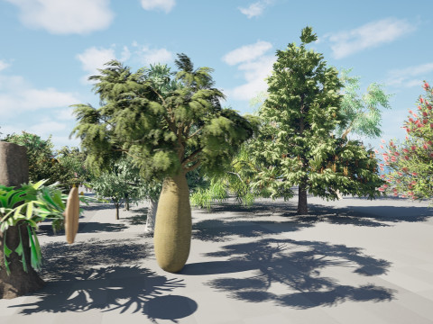 Australian Plant Collection Trees Flowers 3D Model