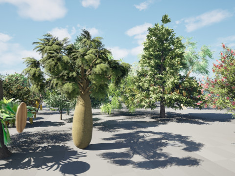 Australian Plant Collection Trees Flowers 3D Model