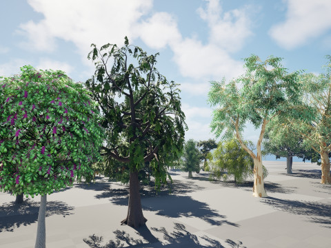 Australian Plant Collection Trees Flowers 3D Model