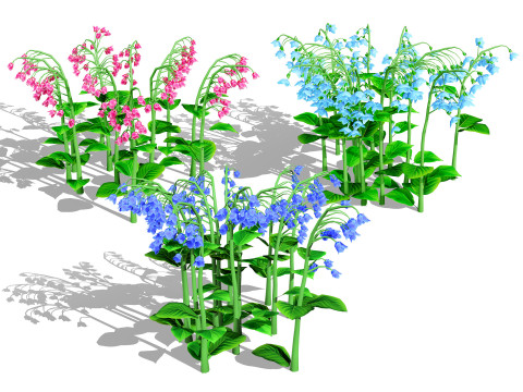 Australian Plant Collection Trees Flowers 3D Model