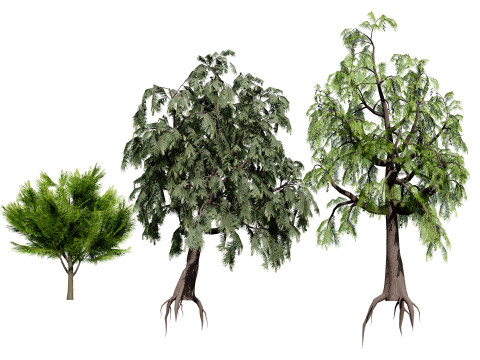 Australian Plant Collection Trees Flowers 3D Model