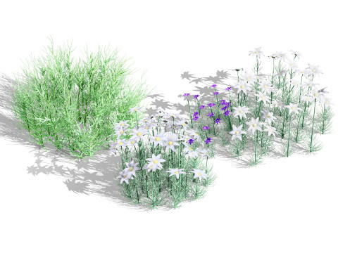 Australian Plant Collection Trees Flowers 3D Model