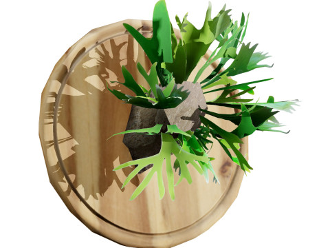 Australian Plant Collection Trees Flowers 3D Model