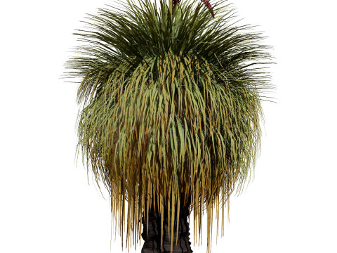 Australian Plant Collection Trees Flowers 3D Model