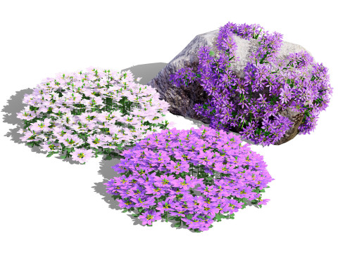 Australian Plant Collection Trees Flowers 3D Model