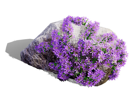 Australian Plant Collection Trees Flowers 3D Model