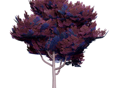 Australian Plant Collection Trees Flowers 3D Model