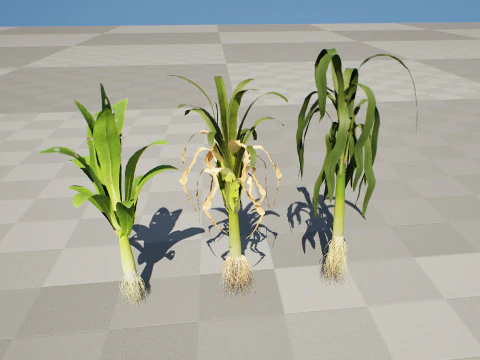 Flander Leek plant collection 3D Model
