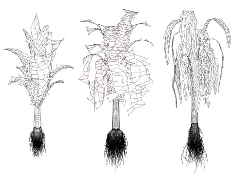 Flander Leek plant collection Modèle 3D