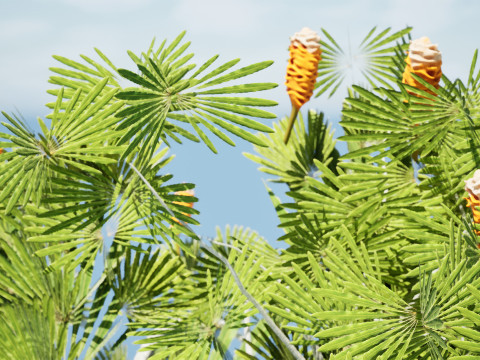 Australia Banksia with free 3d shrub Tutorial 3D Model