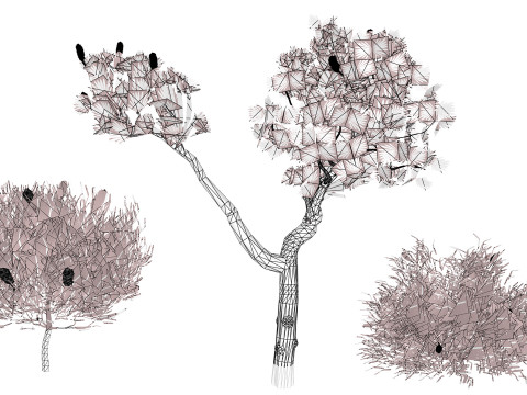 Australia Banksia with free 3d shrub Tutorial 3D Model