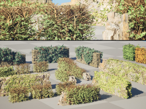 UK Hedgerow 3D Collection Modelo 3D